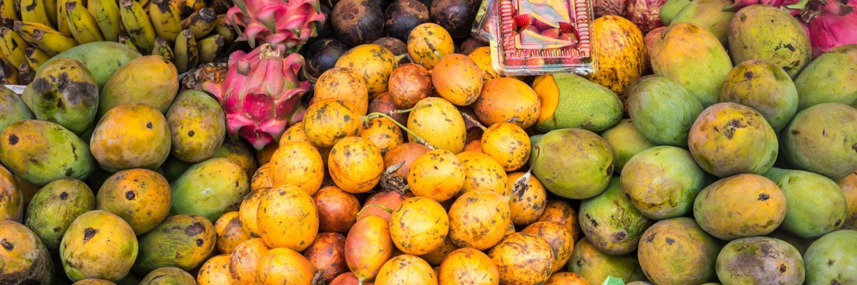 Puerto y mercado de frutos